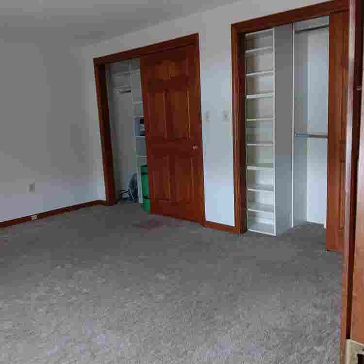Professional female roommate wanted