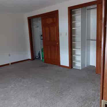 Professional female roommate wanted