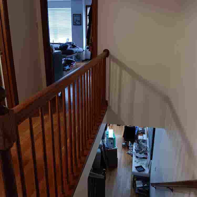Professional female roommate wanted