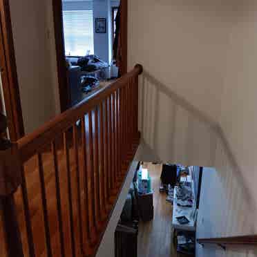 Professional female roommate wanted
