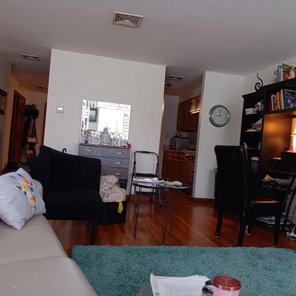 Professional female roommate wanted