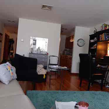 Professional female roommate wanted