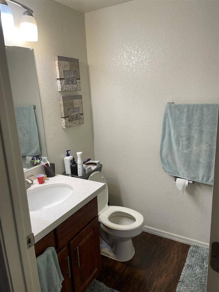 Roommate for my spare bed/bath