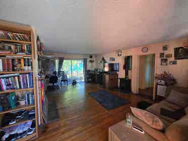 Bright Garden Room