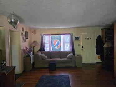 Bright Garden Room