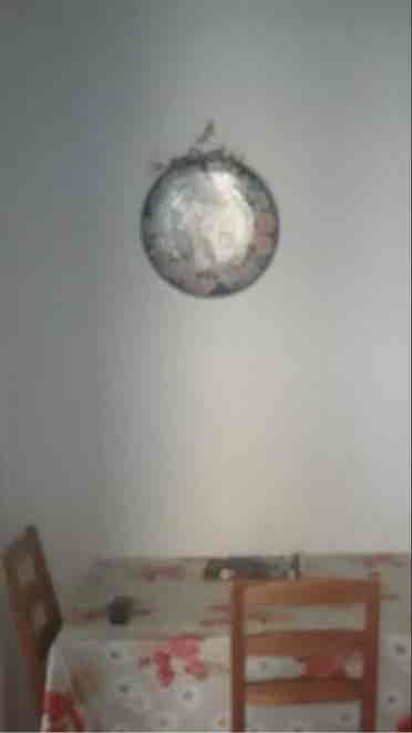 2 posti letto in doppia studentesse