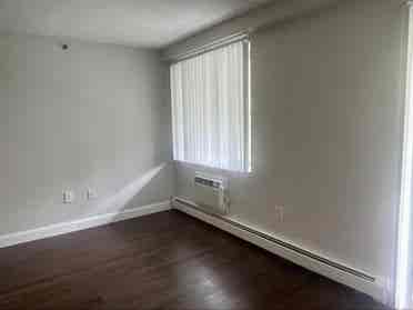 Renovated Apt. to Share