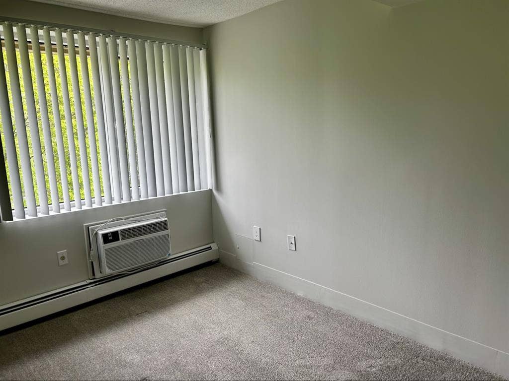 Renovated Apt. to Share