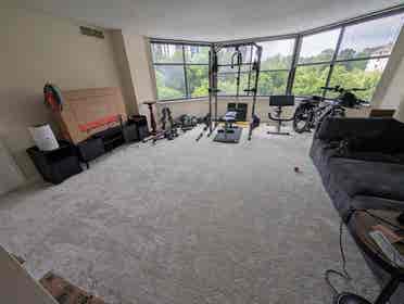 Parkstone Alexandria Roommate