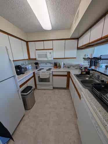 Parkstone Alexandria Roommate