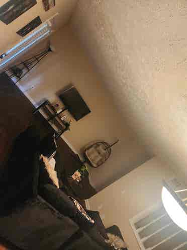 Second room available