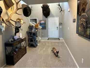 Room for rent