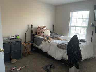 Roommate Needed Hiram
