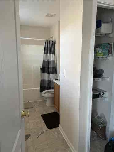 Roommate Needed Hiram