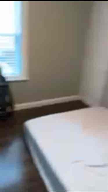 Roommate needed from June-September