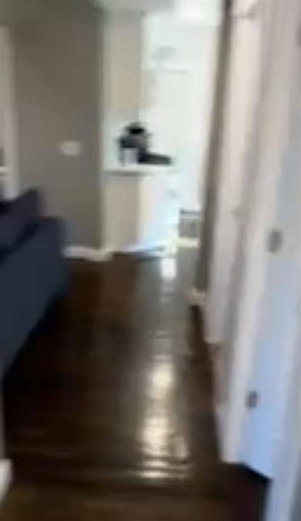 Roommate needed from June-September