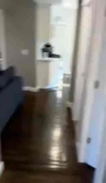 Roommate needed from June-September