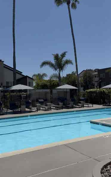 Roommate in La Jolla