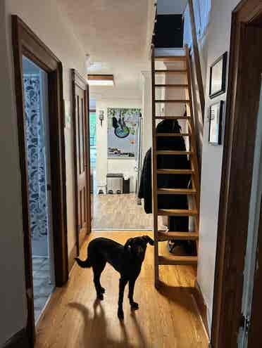 Room for Rent - High Park Station