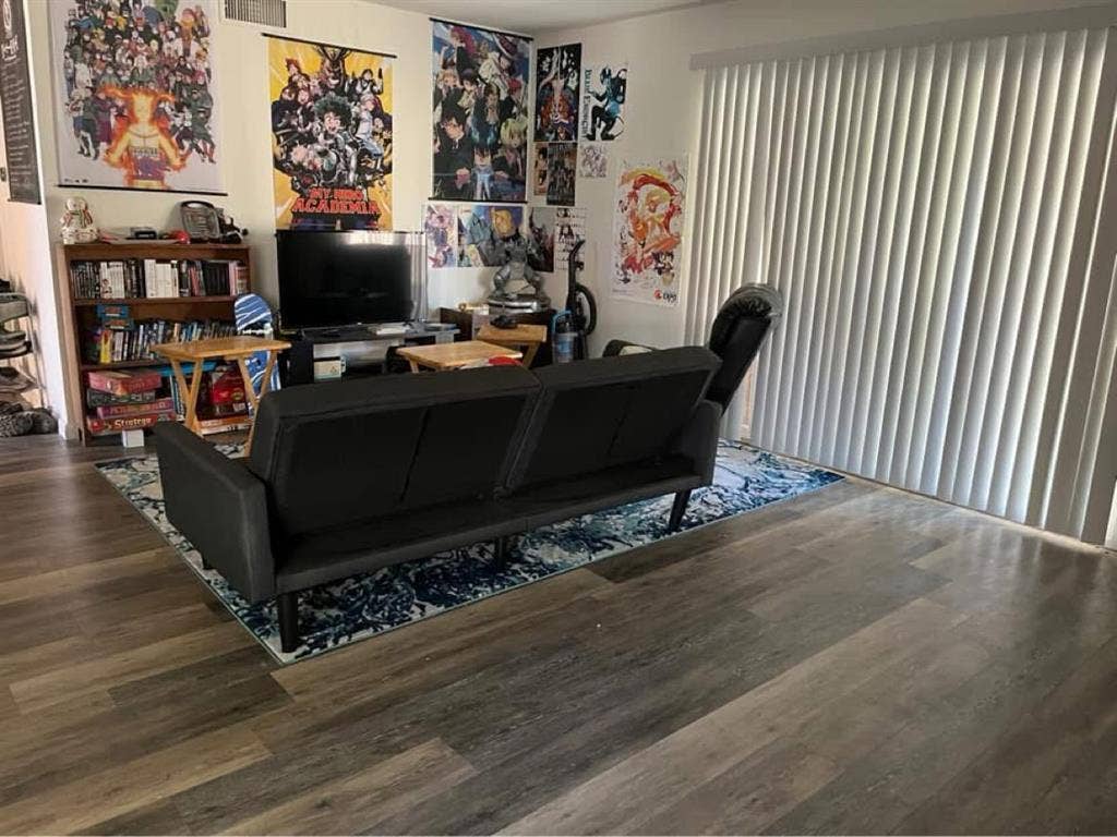 One roommate to join 4 BR house.