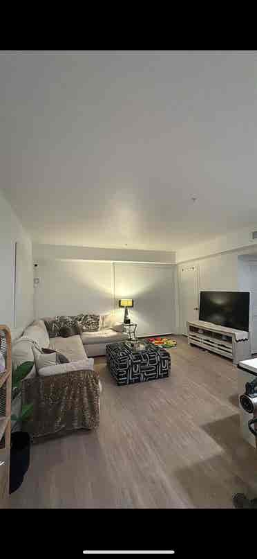Looking for roommate