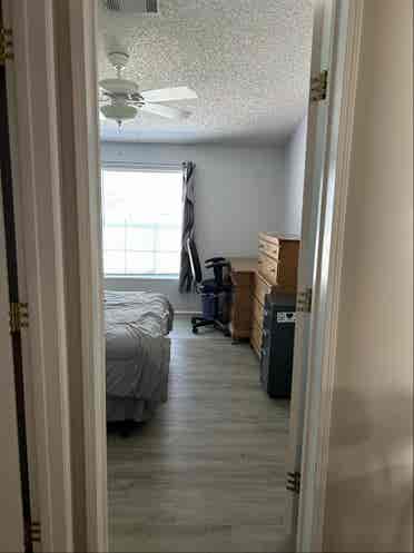 Looking for mature adult