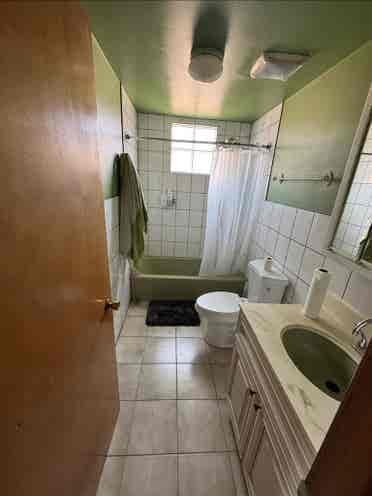 Room Available – FWB-friendly 1BR