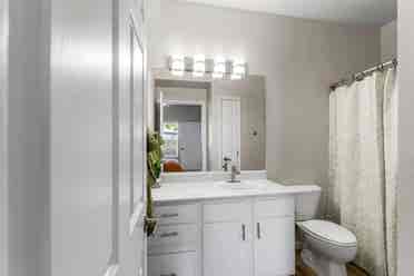 Fully Renovated Apartment
