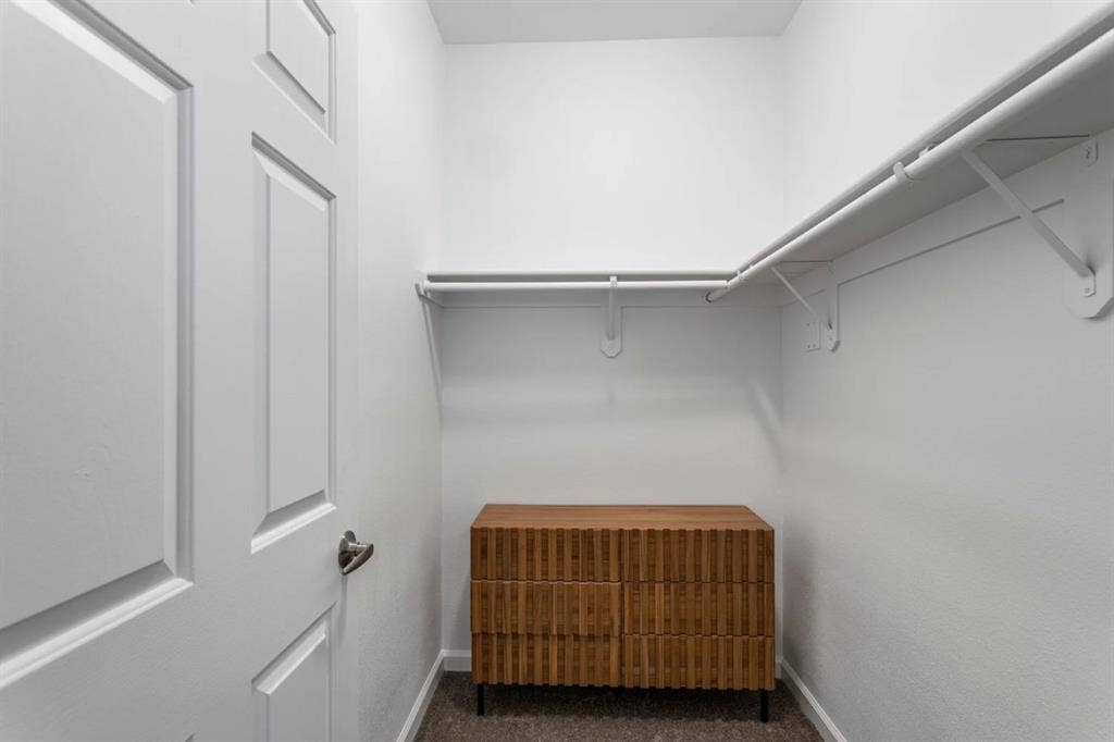 Fully Renovated Apartment