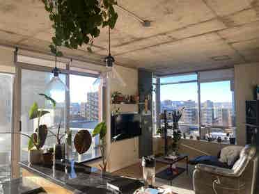 Roomie wanted!! Lgbtq friendly