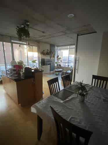 Roomie wanted!! Lgbtq friendly