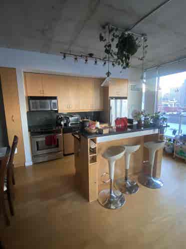 Roomie wanted!! Lgbtq friendly