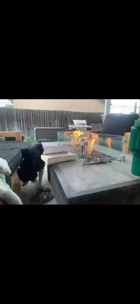 Kindergarten Teacher’s Home - Room