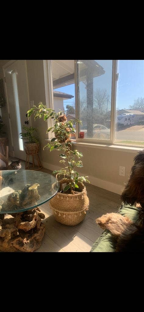 Kindergarten Teacher’s Home - Room