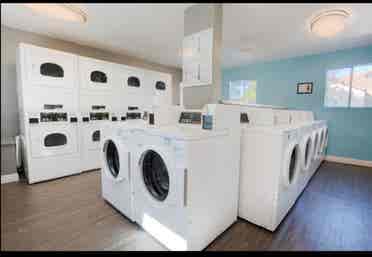 Looking for roommatees