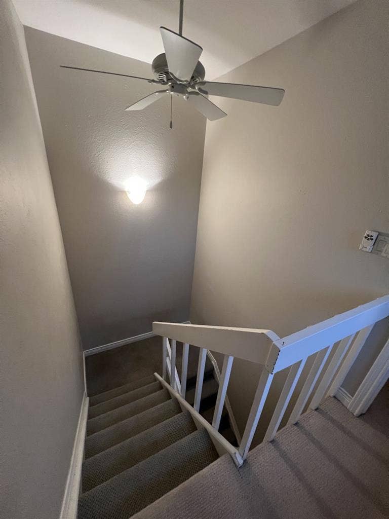 Looking for three roomates !!!