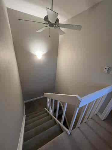 Looking for three roomates !!!