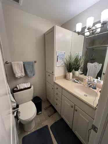 Looking for three roomates !!!