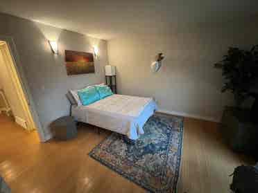 Looking for three roomates !!!