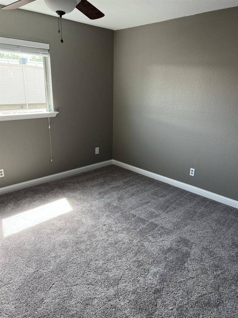 Spacious room newly
renovated