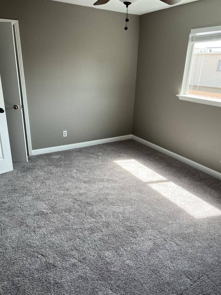 Spacious room newly
renovated