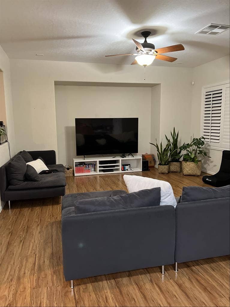 Roommate needed