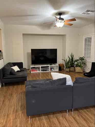 Roommate needed
