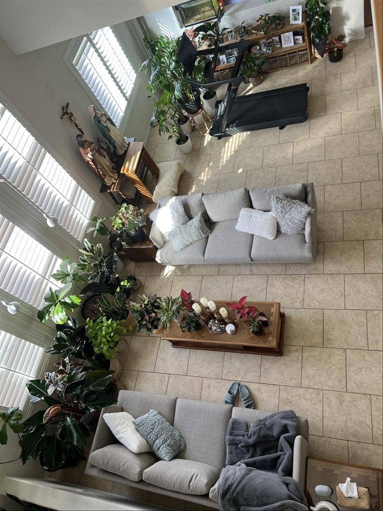 Roommate needed