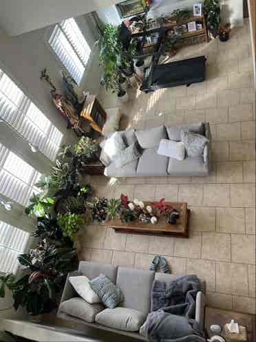 Roommate needed