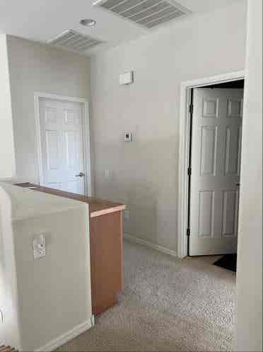 Roommate needed