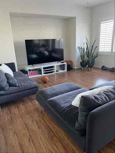 Roommate needed