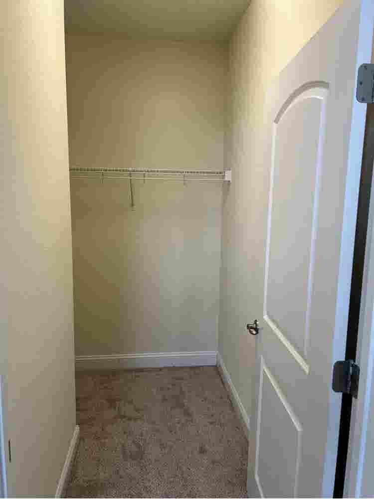 Price includes bills