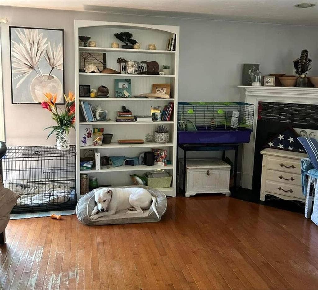 New Listing
