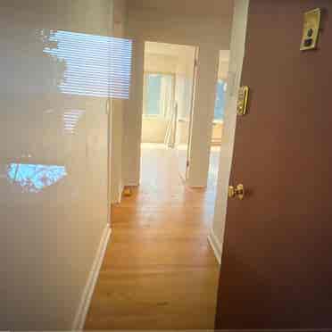 Roommate Needed - B in Queen Ann